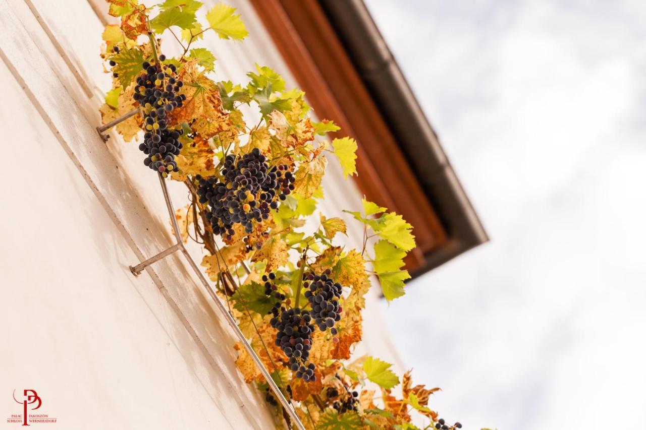Palac Pakoszow Schlosshotel Wernersdorf Jelenia Góra Exterior foto Vineyards in the village of Saint-André-de-Valzach